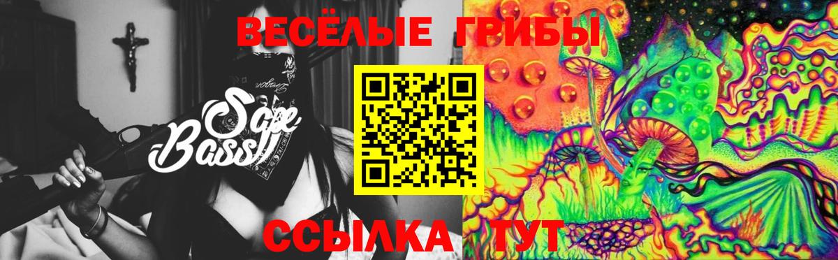 Псилоцибиновые грибы Psilocybe  Галлюциногенные грибы ЛСД  Фурманов  Вход с VPN 